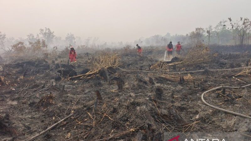 12 Orang Jadi Tersangka Karhutla di Kalimantan Tengah